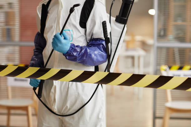 Professional Sewage Cleanup technician working in Pomona, CA